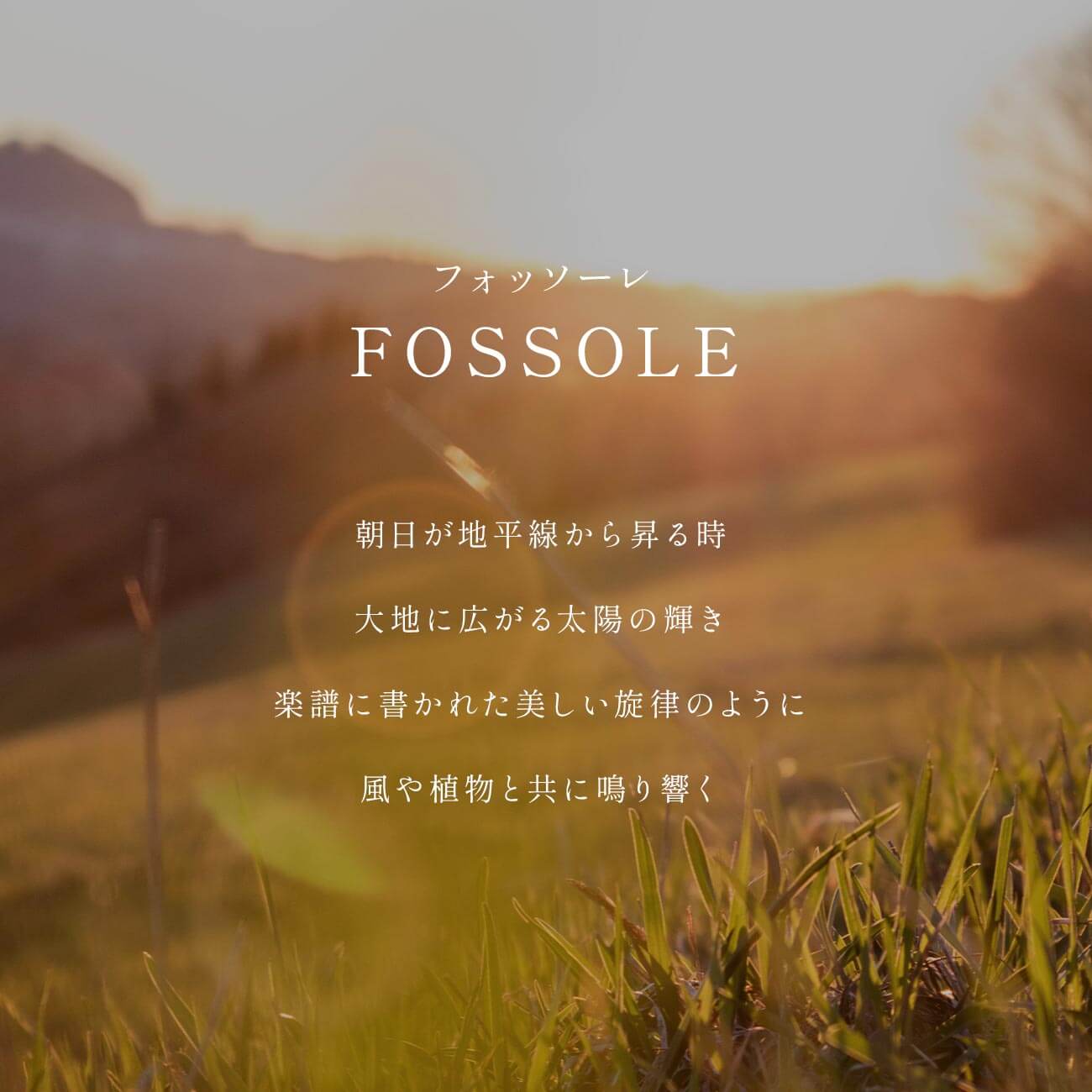 爆買 リング レディース リング ゴールド 10k 【fossole-ring フォッソーレ】 k10 リング 10金 ダイヤモンド リング 50代 スリム 40代 30代 誕生日 プレの画像