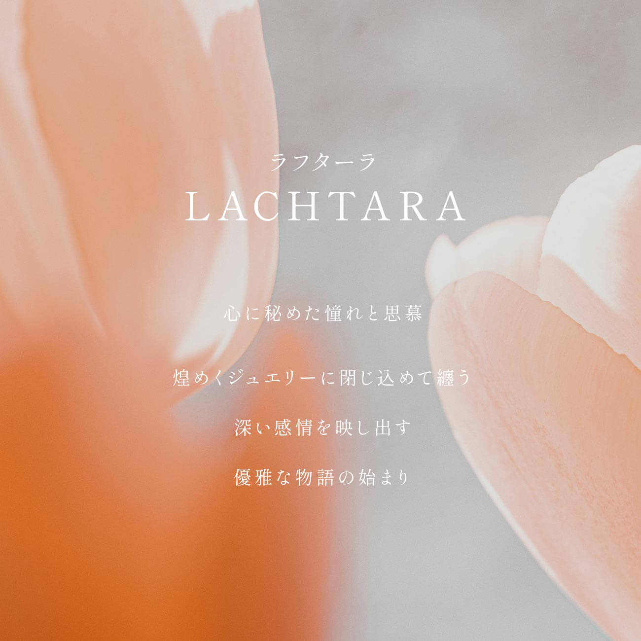 爆買 ピンク 天然石 ゴールド ピアス 10K 金属アレルギー 対応 【lachtara-tva ラフターラ・トヴォ】 愛され ピアス ピンク ムーンストーン ピアス 10金の画像