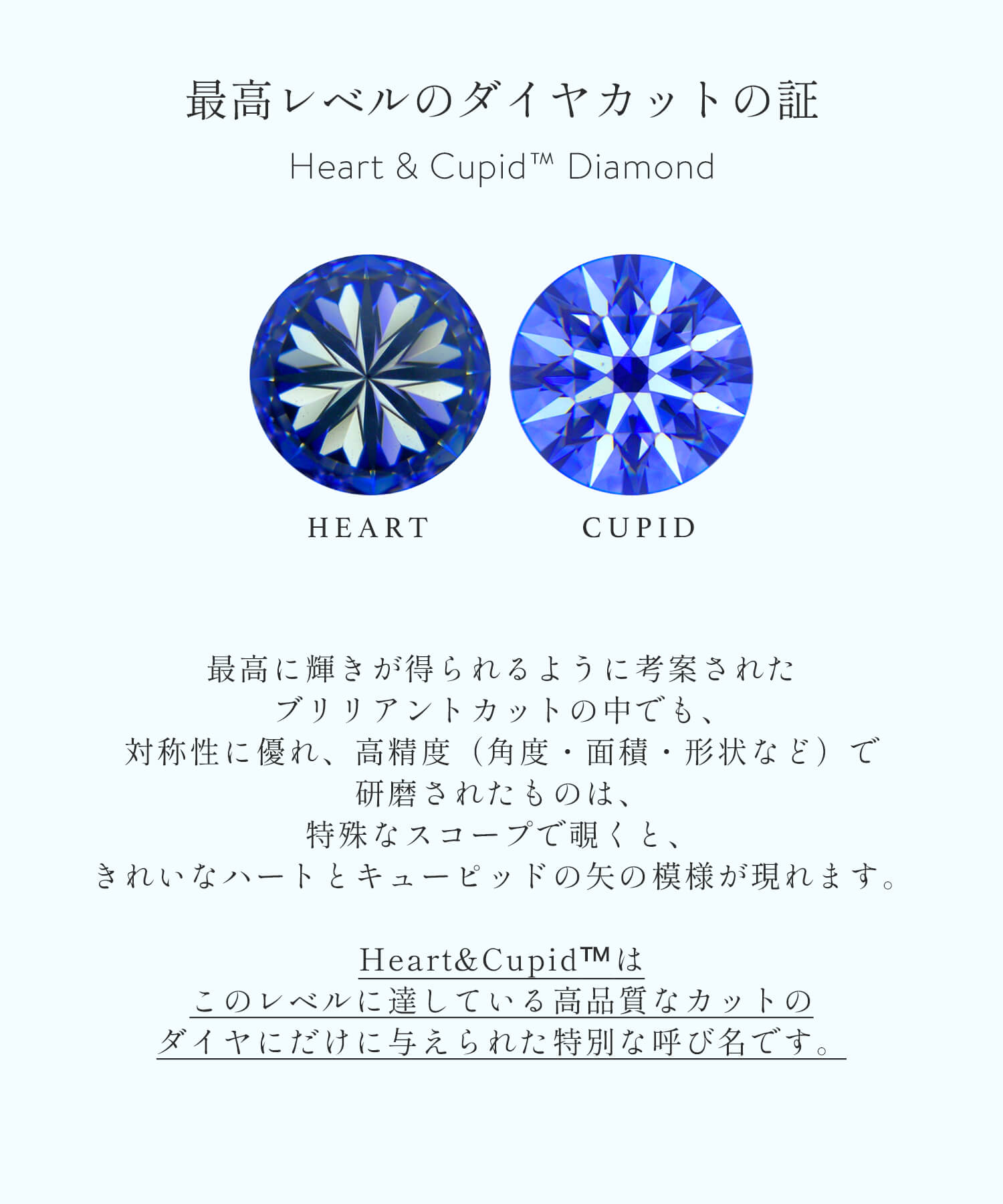 Ops. ピアス レディース 小粒 プラチナ ダイヤ 0.3ct 一粒 Edele