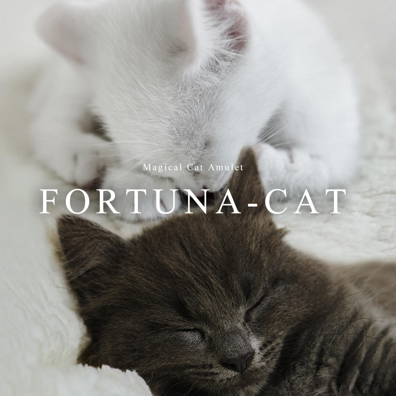 売上を医学研究寄付】 猫 ブレスレット レディース K10 【fortuna-cat