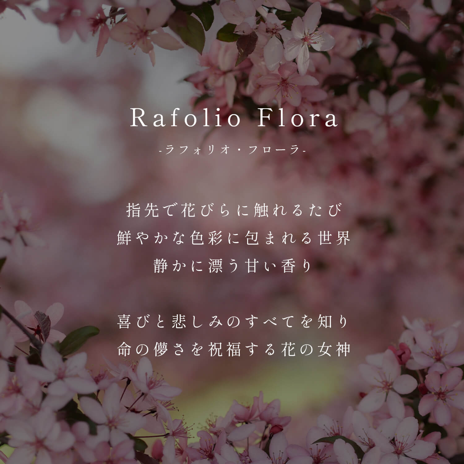 爆買 コイン ネックレス ゴールド お守り K10 10K レディース 【rafolio-flora ラフォリオ・フローラ】 コインネックレス 金貨 メダル 10金 リバーシブルの画像
