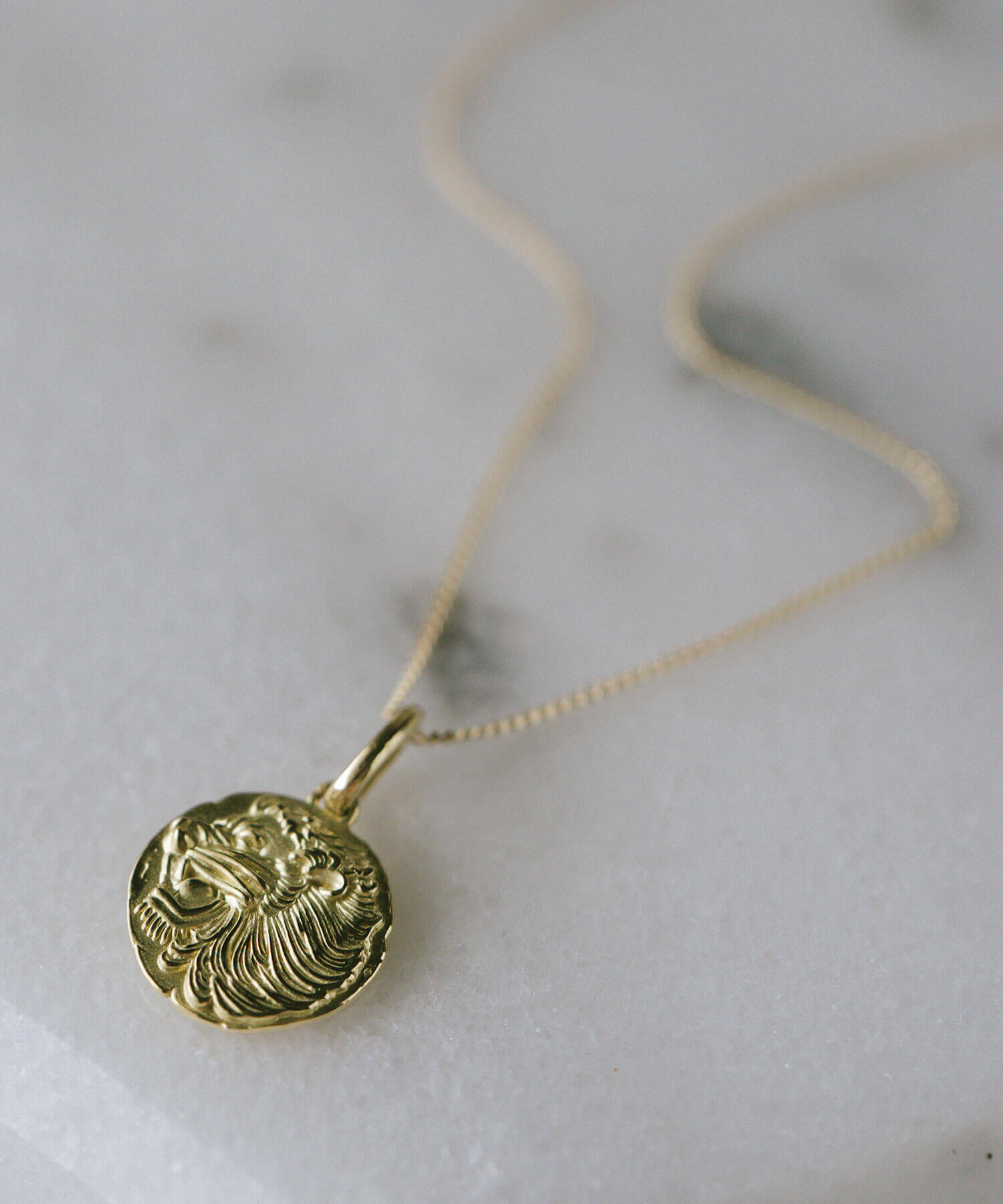 コイン ネックレス K10 10K レディース ライオン アニマル モチーフ 【rafolio-leone ラフォリオ・レオネ】 コインネックレス金貨  メダル 10金 リバーシブル