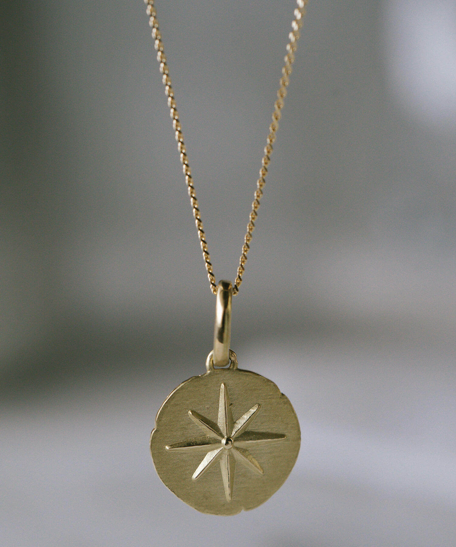 Ops.（オプス） コイン ネックレス K10 10K レディース ライオン アニマル モチーフ 【rafolio-leone ラフォリオ・レオネ】  コインネックレス金貨 メダル 10金 リバーシブル : OPSヤフー店 - 通販 - Yahoo!ショッピング