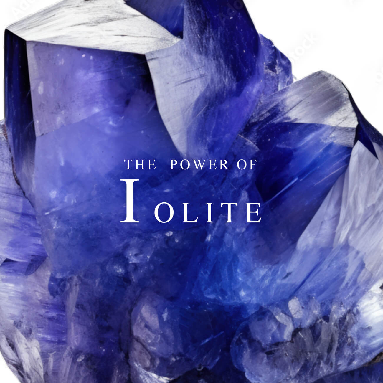 Ops.（オプス） ネックレス レディース アイオライト 花 ダイヤモンド