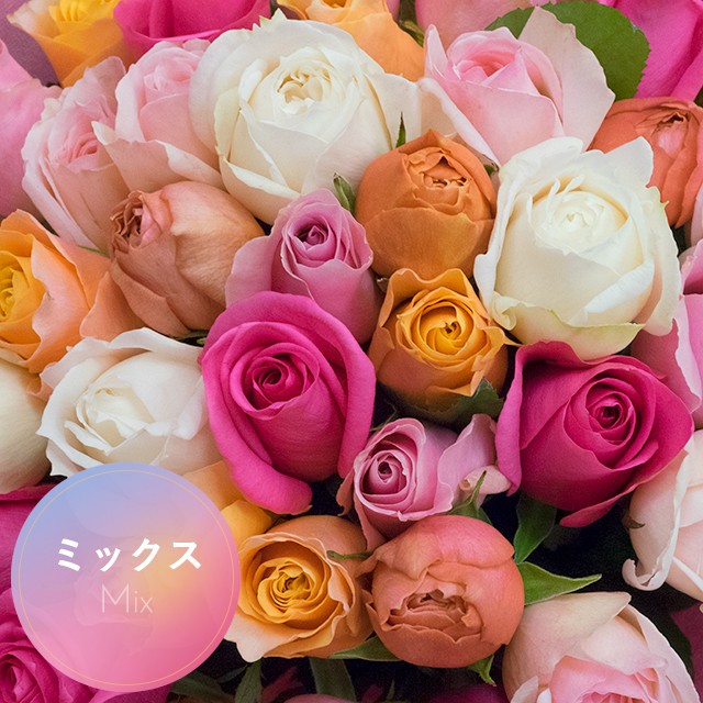 無料長期保証 バラ 108本 の花束 カラーが選べる5色 プロポーズにおすすめ 高級感 Homeofmalones Com