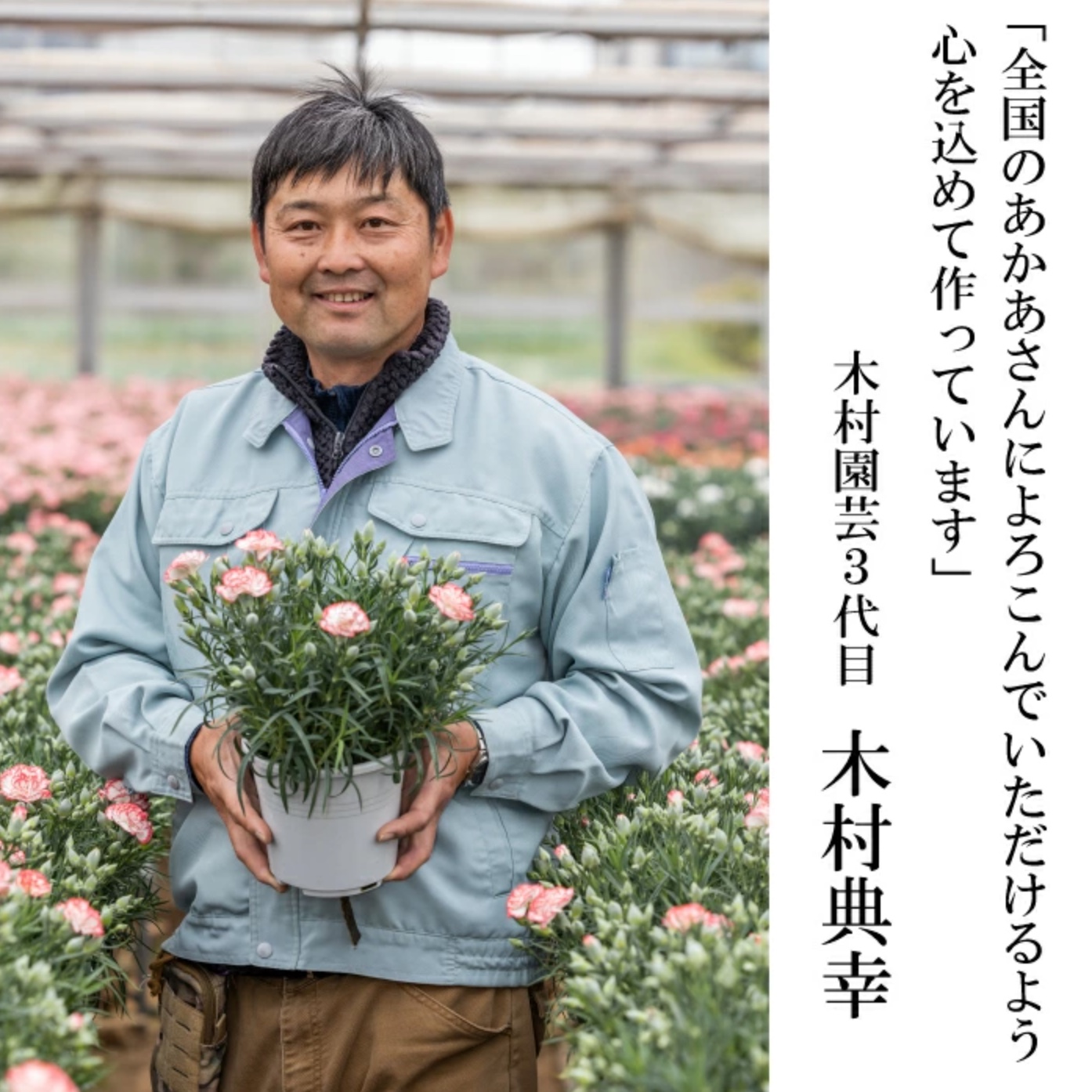 木村さん カーネーション