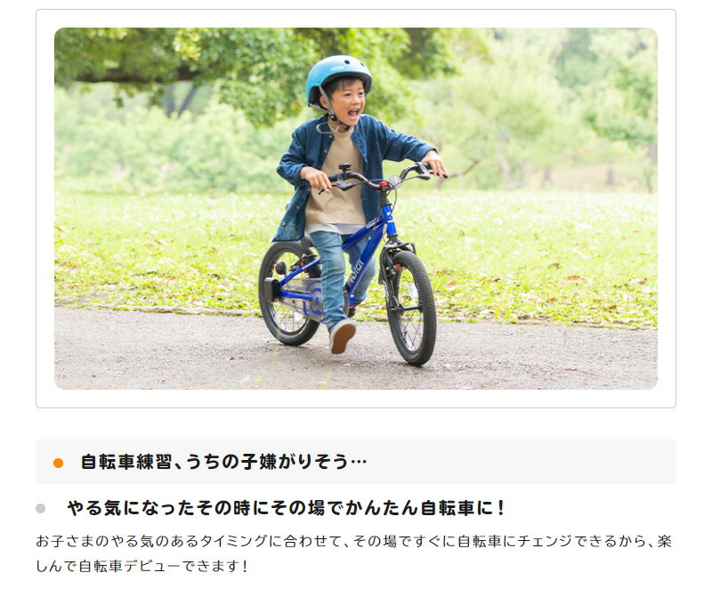 アイデス D-Bike Master プラス Honda 18インチ 自転車 バランス
