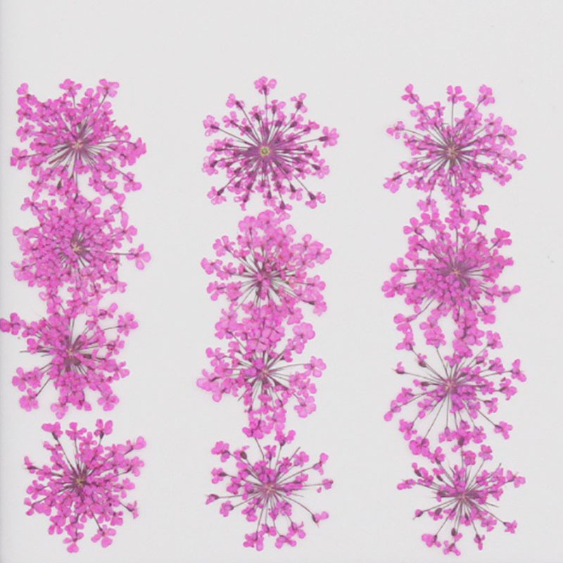 フラワー 押し花 ドライフラワー  ネイル 花 12色自由選べる セルフネイル ジェルネイル｜orangecoco｜02