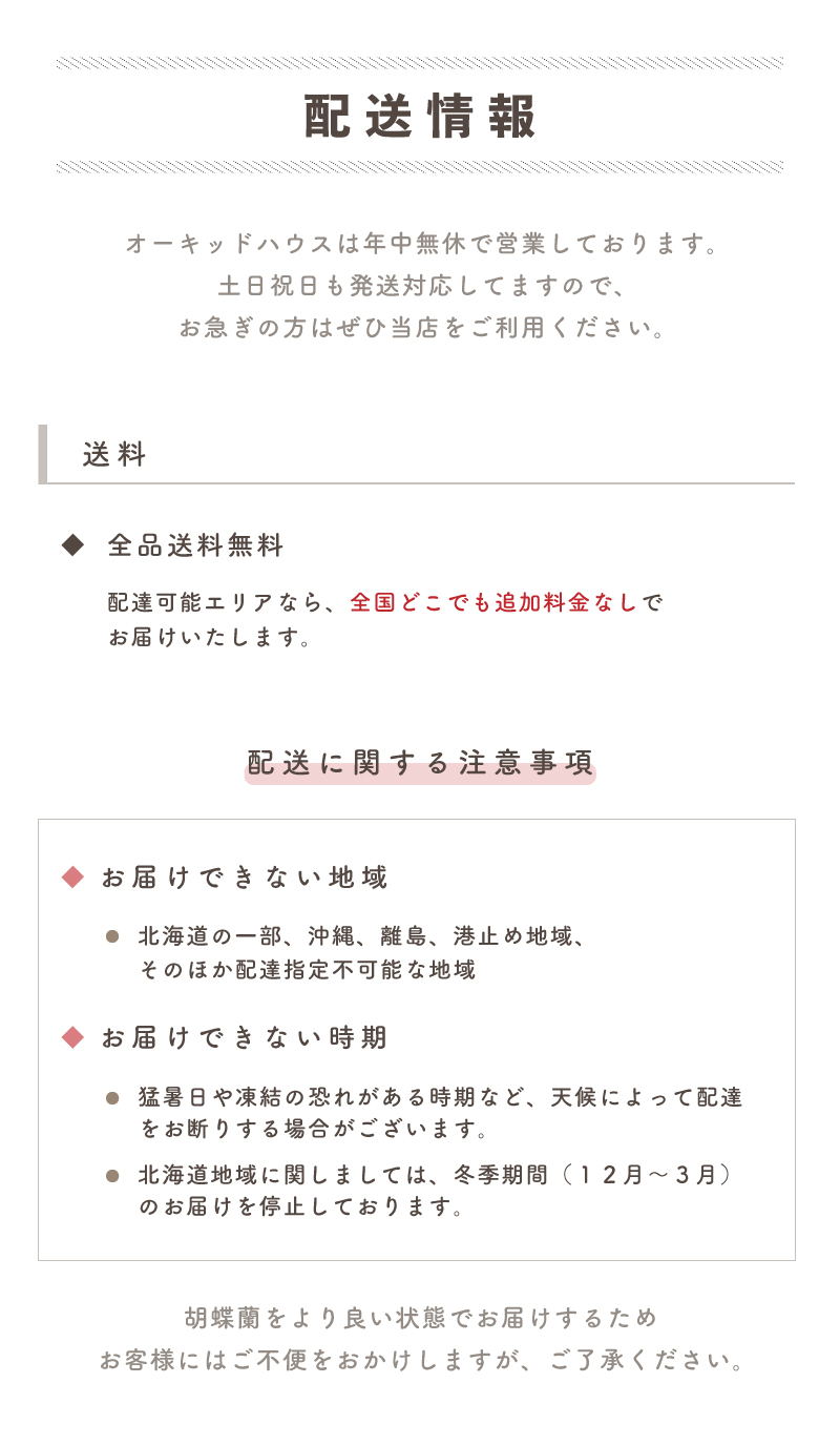 配送情報