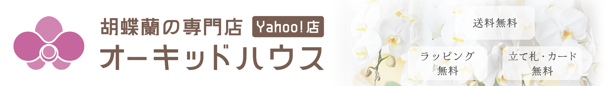 胡蝶蘭の専門店　オーキッドハウス ヘッダー画像