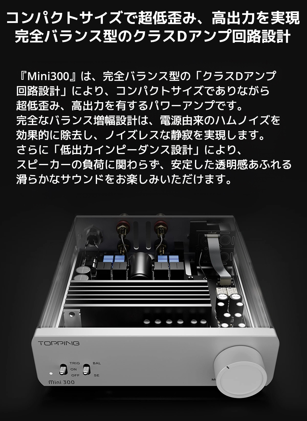 TOPPING 1年保証 TOPPING Mini300 パワーアンプ クラスD 完全バランス