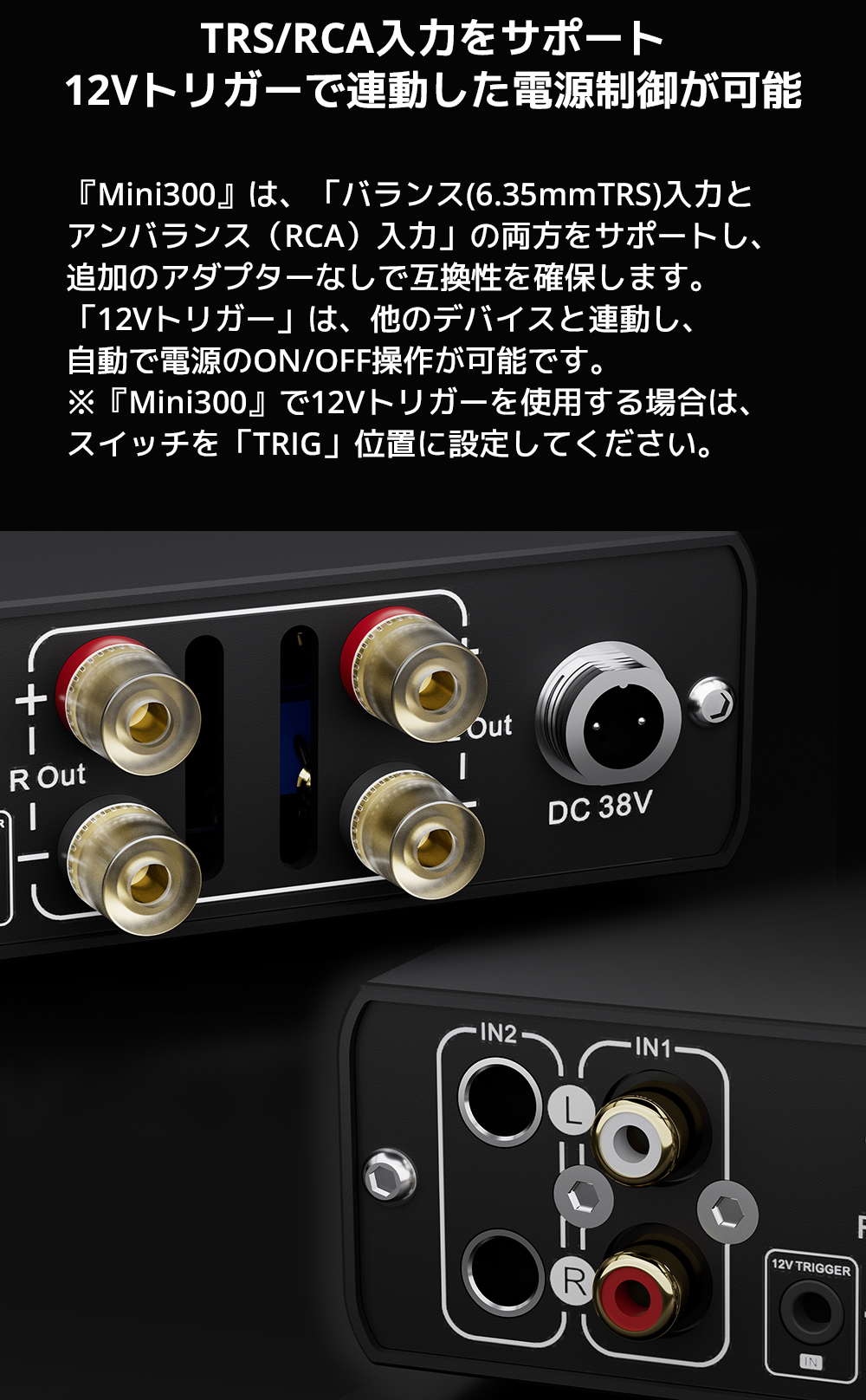 TOPPING 1年保証 TOPPING Mini300 パワーアンプ クラスD 完全バランス