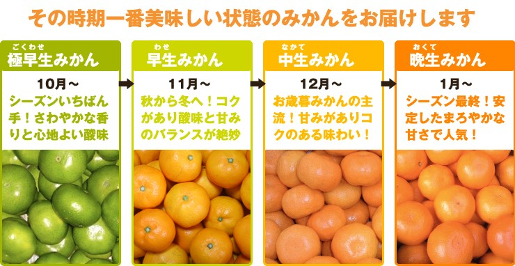 家庭用傷南柑20号みかん10キロ（ノーワックス大三島産）サイズばらばら
