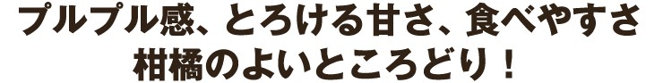 プルプル感、とろける甘さ、食べやすさ柑橘のよいところどり！