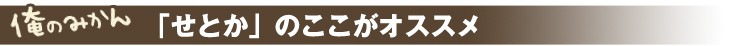 せとかのここがオススメ