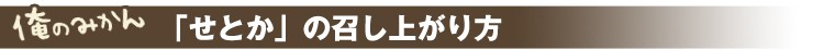せとかの召し上がり方