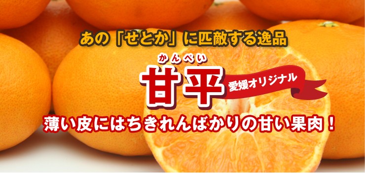 楽天市場】愛媛産 甘平（かんぺい）10kg 訳あり・不揃い【送料