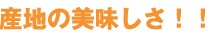 産地の美味しさ！！