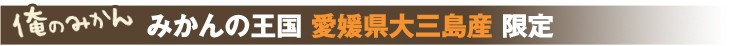 みかんの王国 愛媛県大三島産 限定