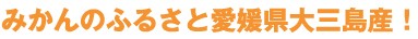 みかんのふるさと愛媛県大三島産！