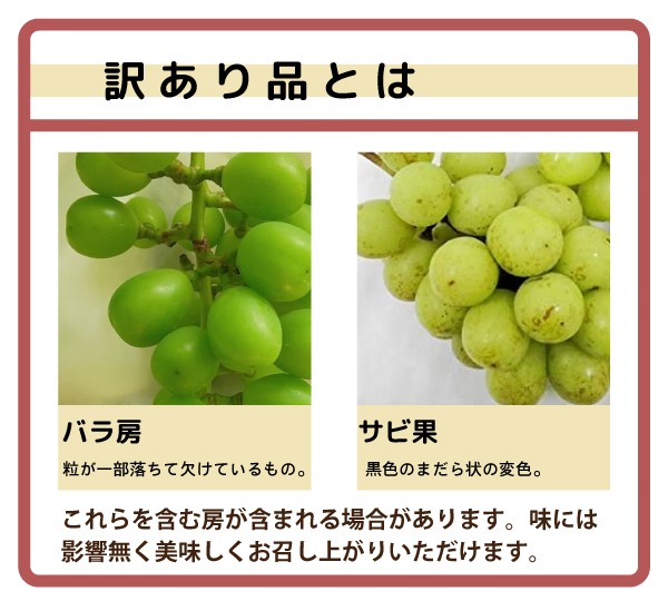 kbs1093_a1411-06