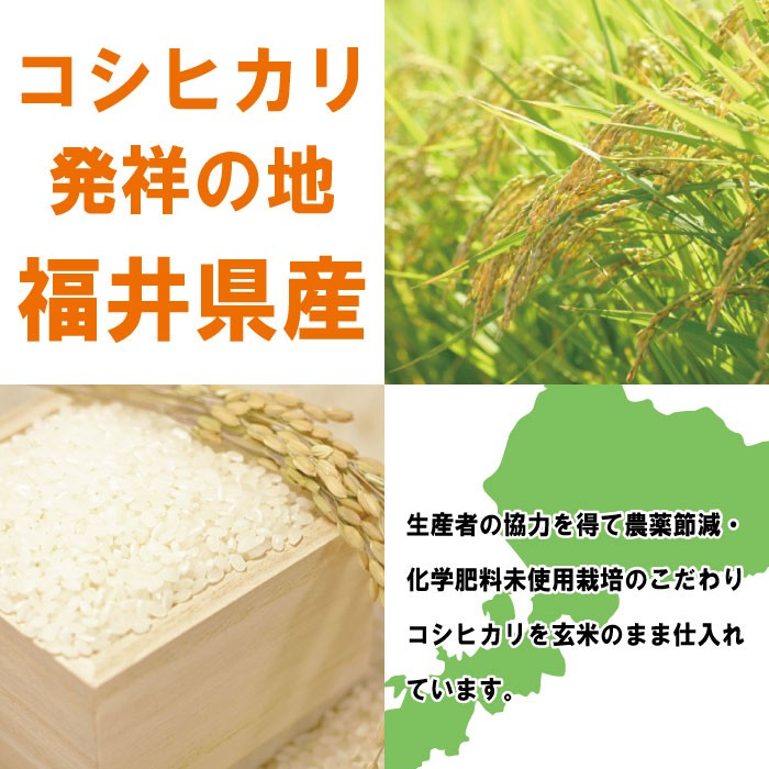 コシヒカリ 30kg 送料無料 玄米 令和7年度 福井県産 特別栽培米 農薬