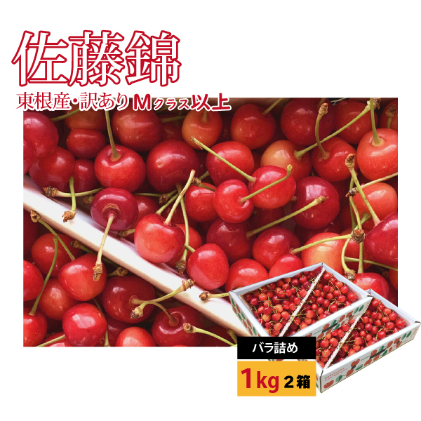農家応援・食べ納め応援】さくらんぼ 佐藤錦 山形県東根市産 2kg(1kg×2