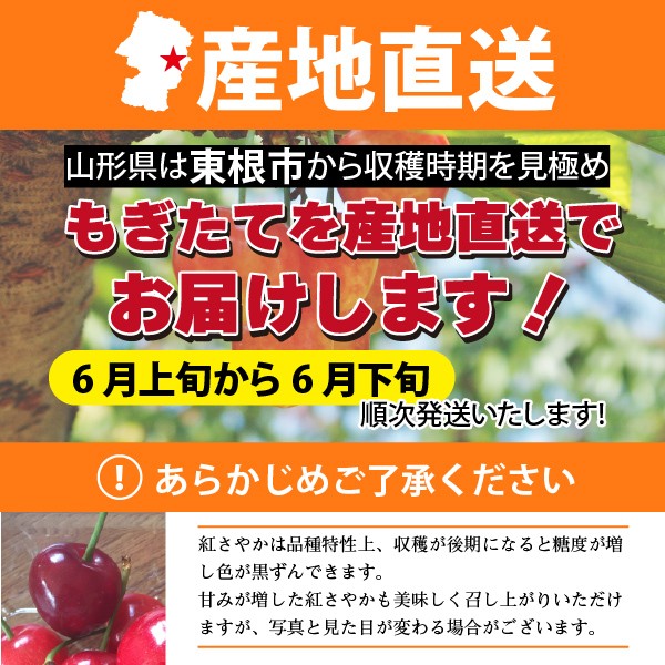 紅さやか（YCC125） | ニンジン | 野菜 | 製品情報 | 住化農業