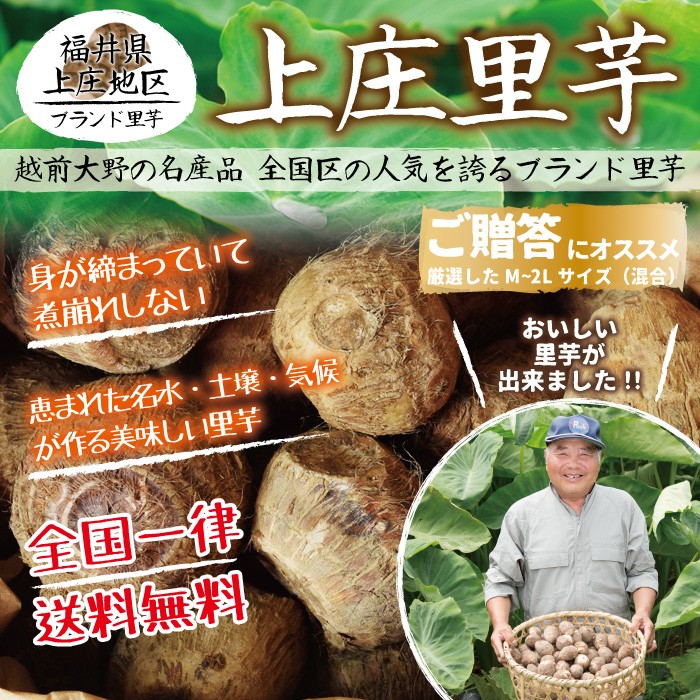 最大93％オフ！ 自然栽培 里芋 400g 熊本県産 無肥料無農薬 25年以上 農薬も肥料も使わずに自然と共生する農法で作っています  megjc.gov.jm