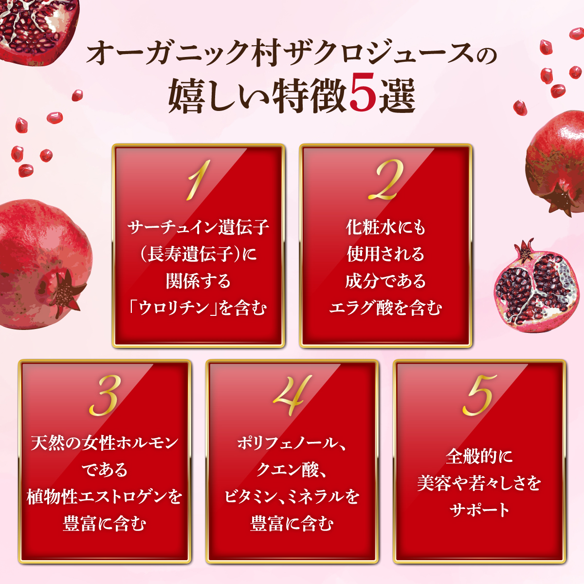 ざくろジュース 100% 500ml ザクロジュース 無添加 有機 フルーツ