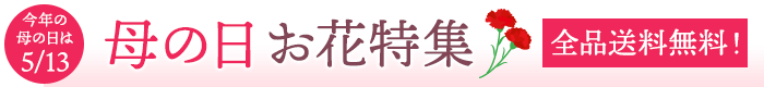 母の日特集