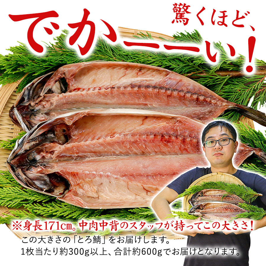 干物 とろさば 2枚セット 沼津 サバ 鯖 詰め合わせ グルメ ギフト プレゼント :6040-600012:QWISH - 通販 -  Yahoo!ショッピング