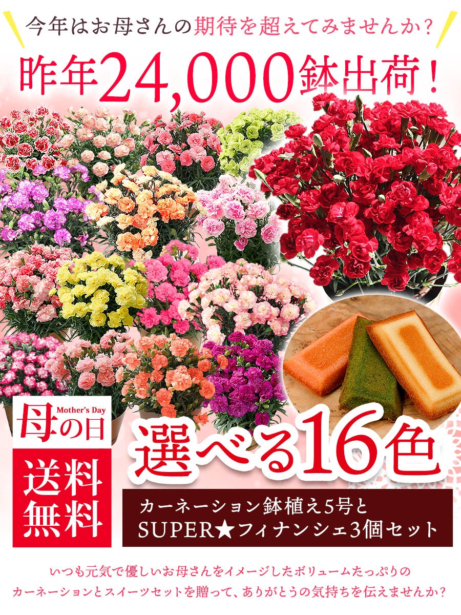 Qoo10 母の日 ギフト 早割 花 スイーツ カーネーション 選べる16種類 5号 鉢植え Superフィナンシェ 3個 セット 送料無料 プレゼント お菓子