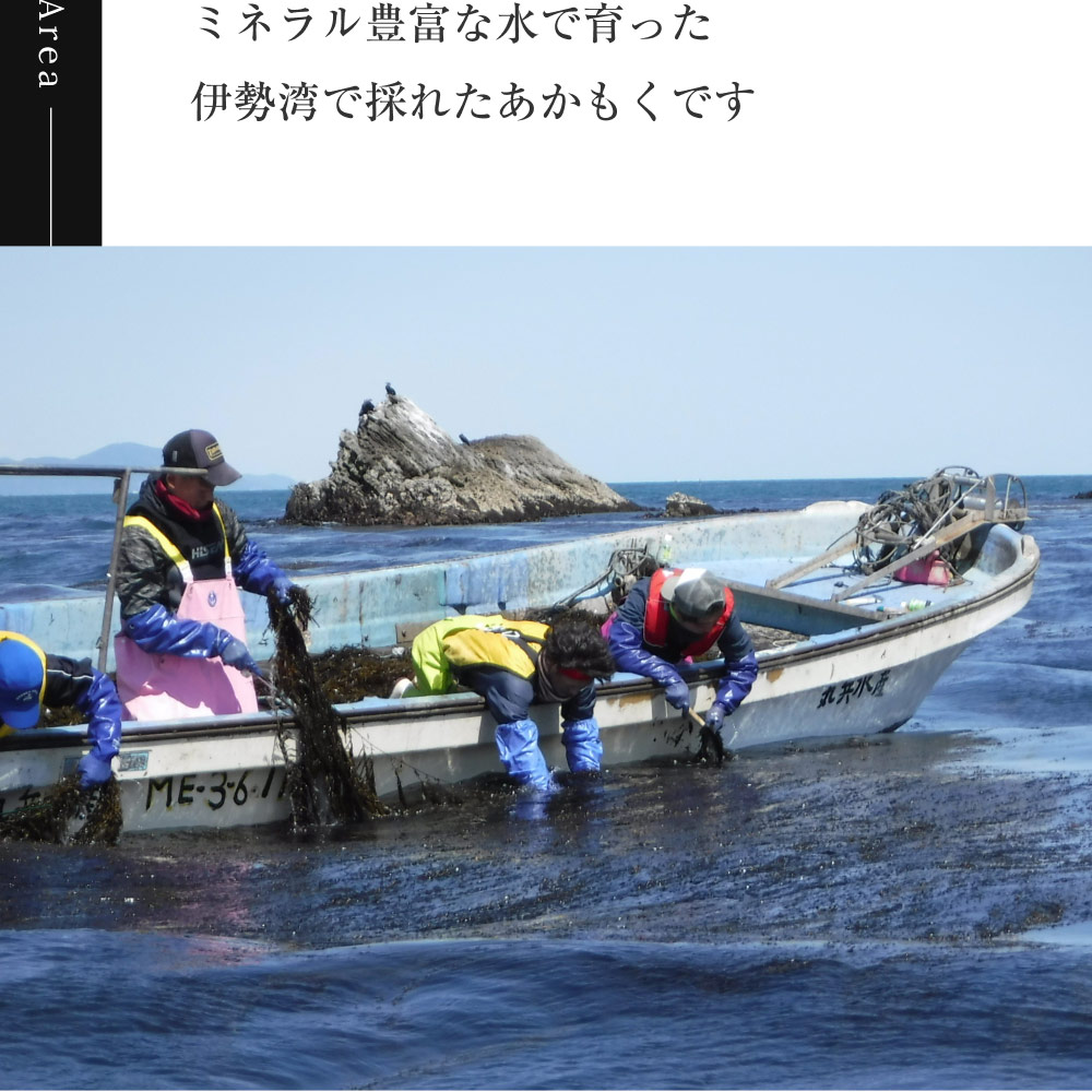 アカモク、ぎばさ、あかもく、海藻、たんぱく質、食物繊維、フコイダン、フコキサンチン、ビタミンK、ミネラル、乾燥、国産、伊勢