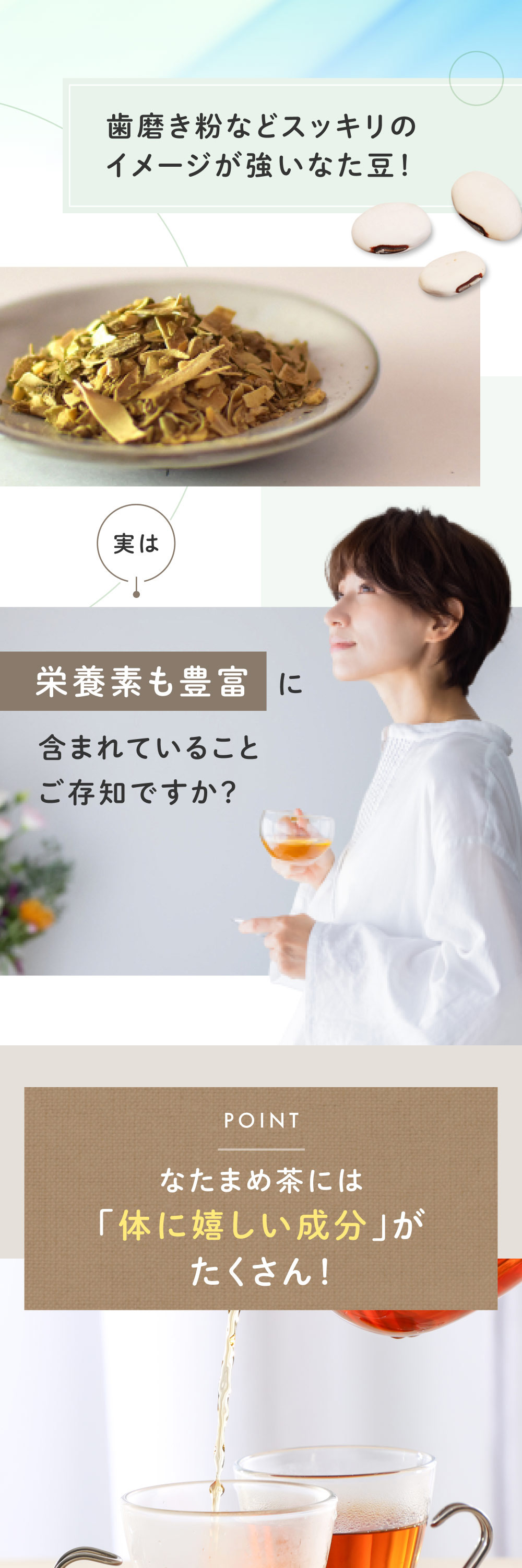 国産　なたまめ茶