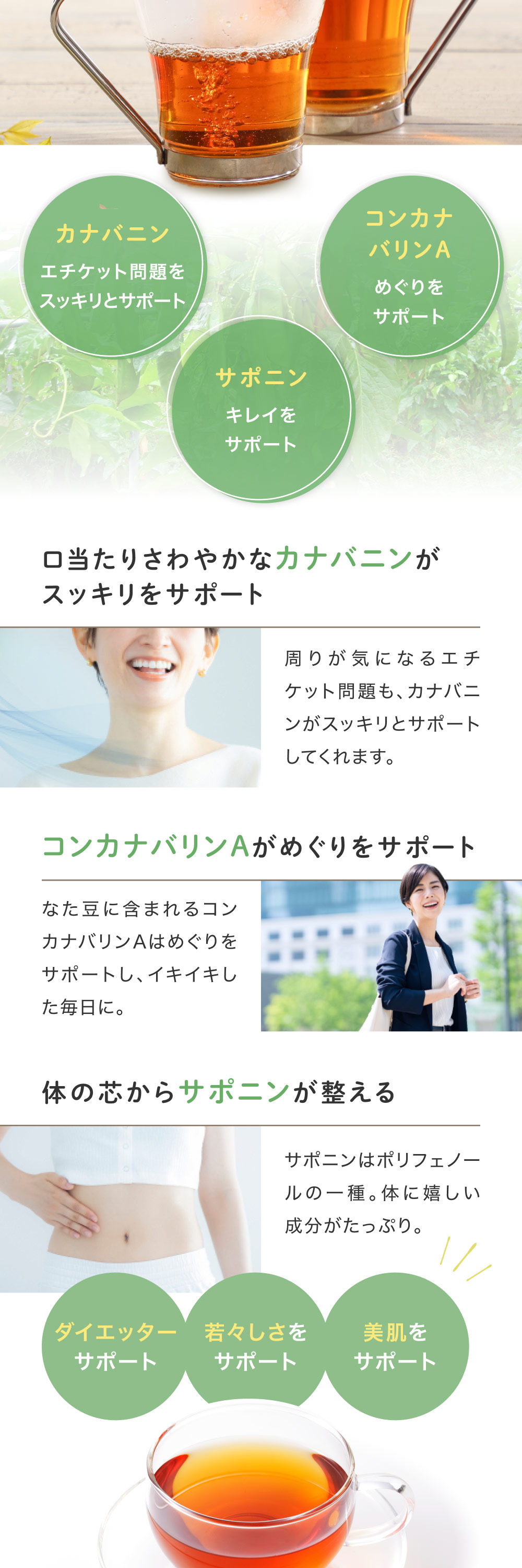 国産　なたまめ茶