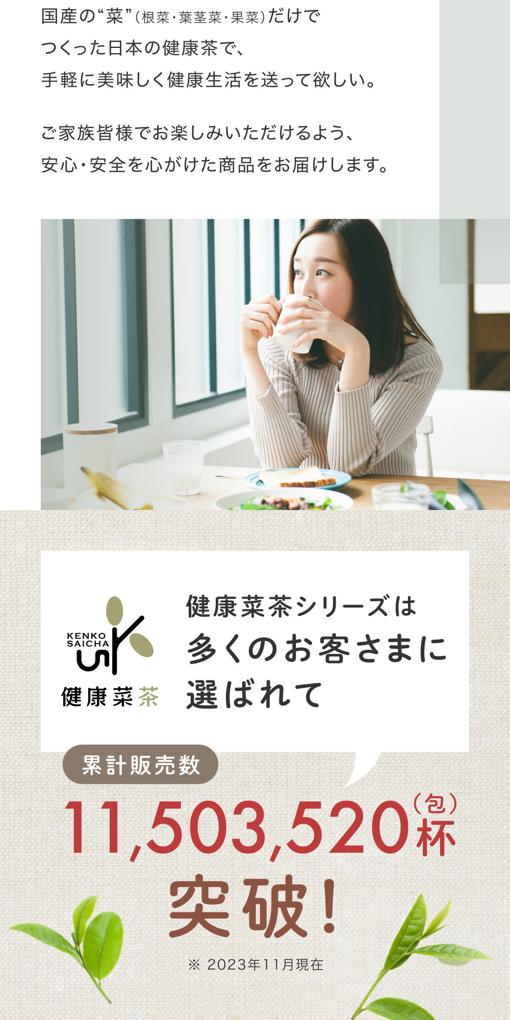 国産　なたまめ茶