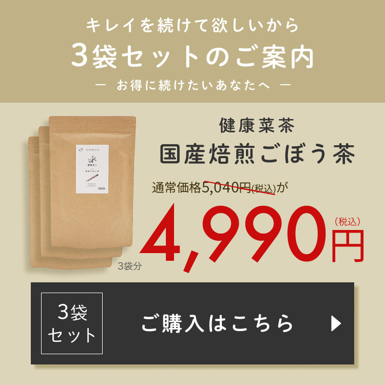 ごぼう茶 国産 2.5g x100包 水出し ティーバッグ 食物繊維 イヌリン