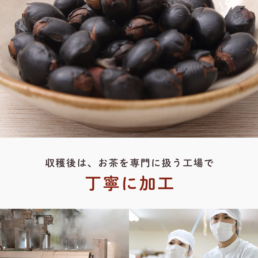 焙煎黒豆茶