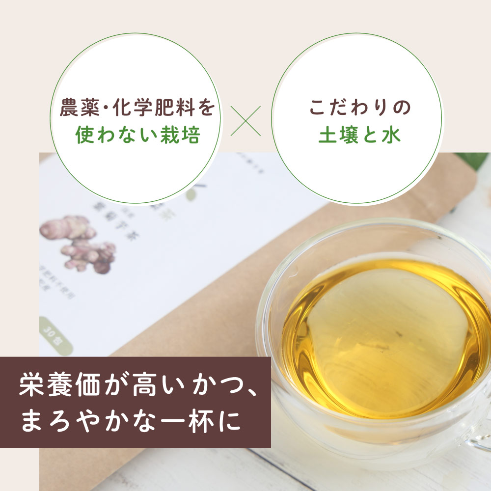 国産 紫菊芋茶