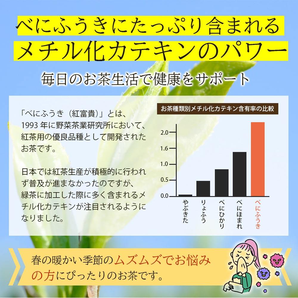 べにふうき茶ペットボトル