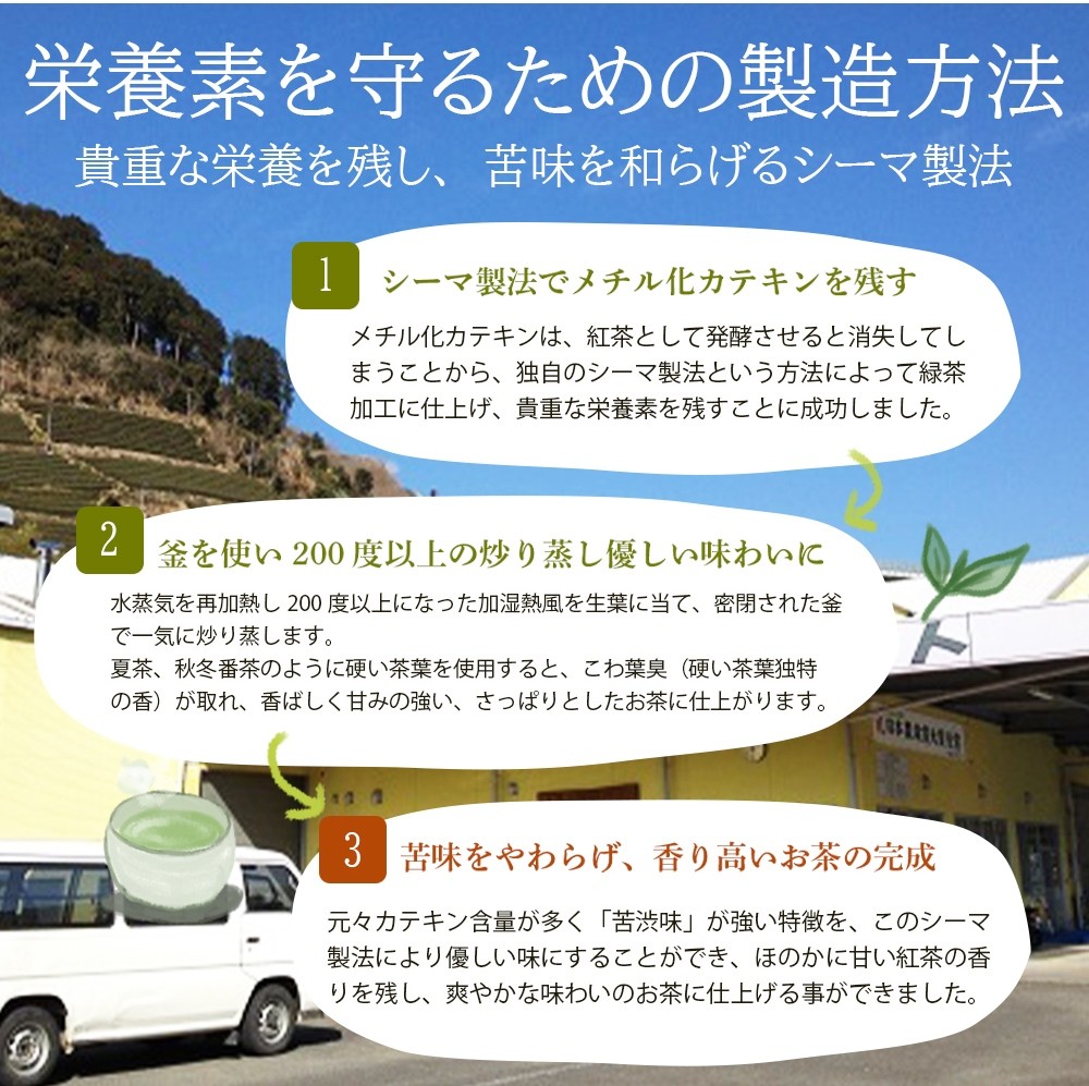 べにふうき茶ペットボトル