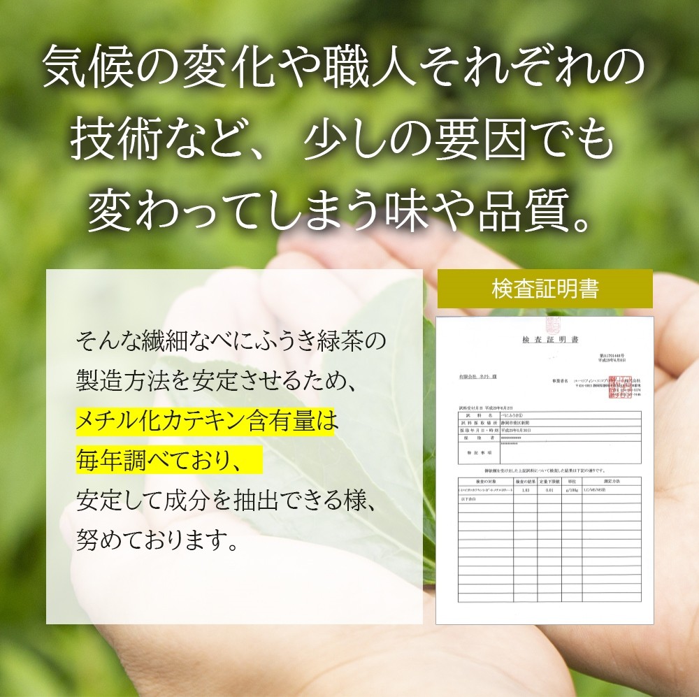 べにふうき茶ペットボトル