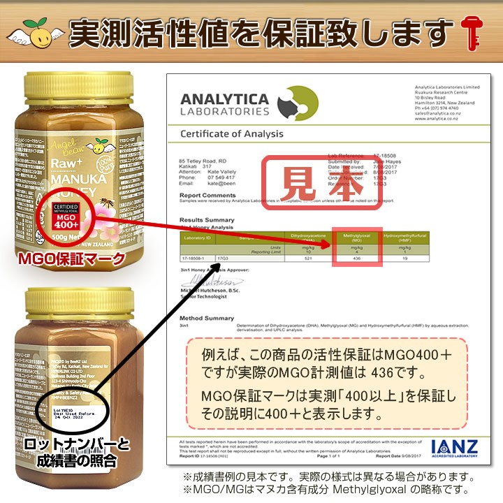 マヌカハニー MGO800+(830+) UMF20+以上 エンジェルビーン 生はちみつ