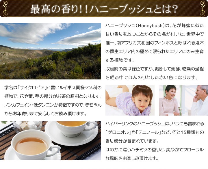 最高の香り！！ハニーブッシュとは？
