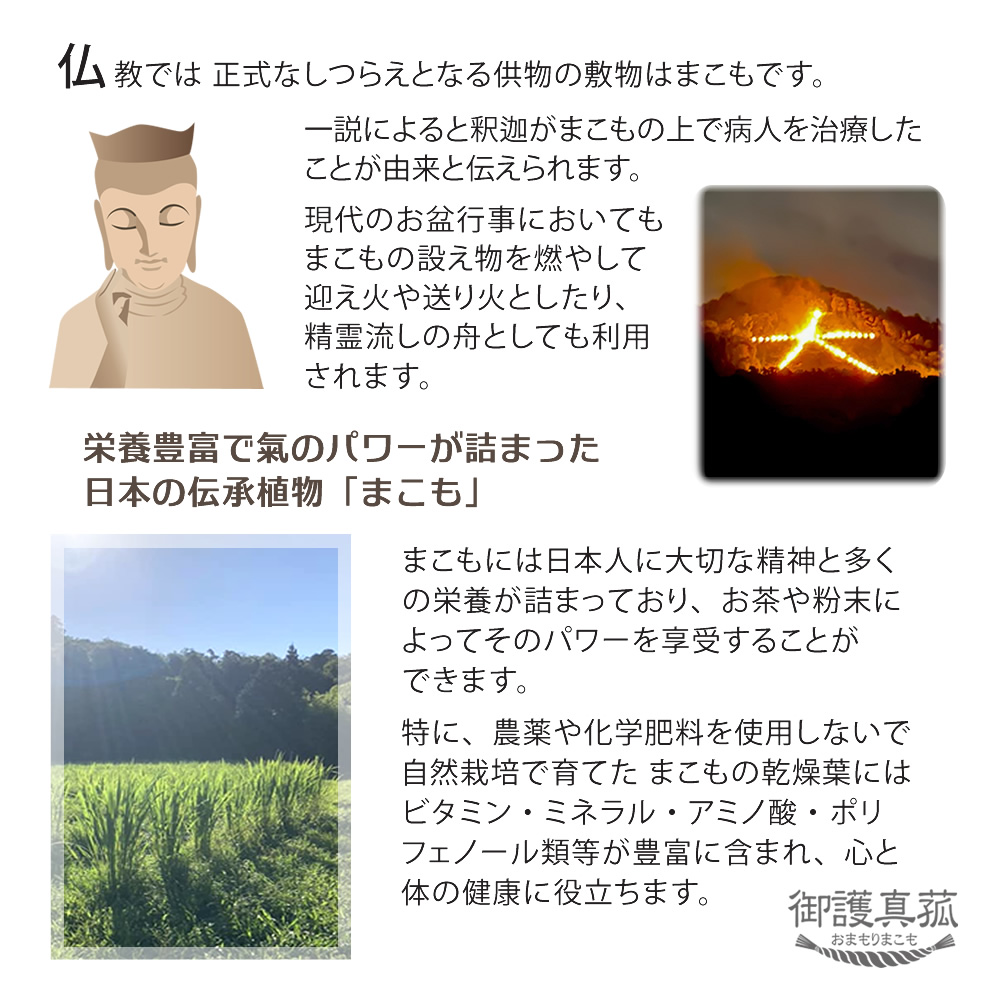 まこもは神道や仏教との関わりが深く日本人の精神に根付いた植物です