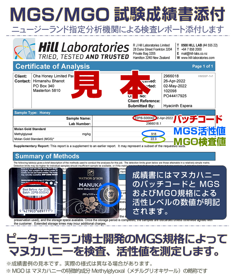 活性値検査、報告書