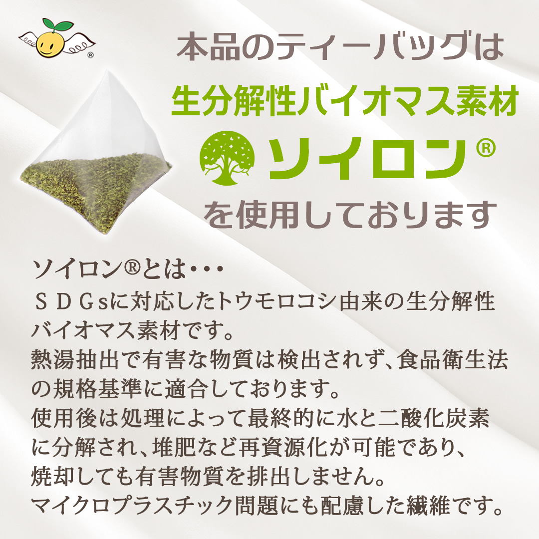 環境に配慮したフィルター、生分解性バイオマス素材ソイロンを採用