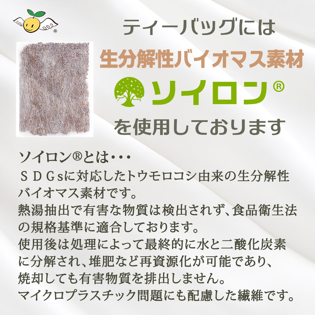 ルイボスティー 特大ティーバッグ7g 煮出し用（水出し用）有機