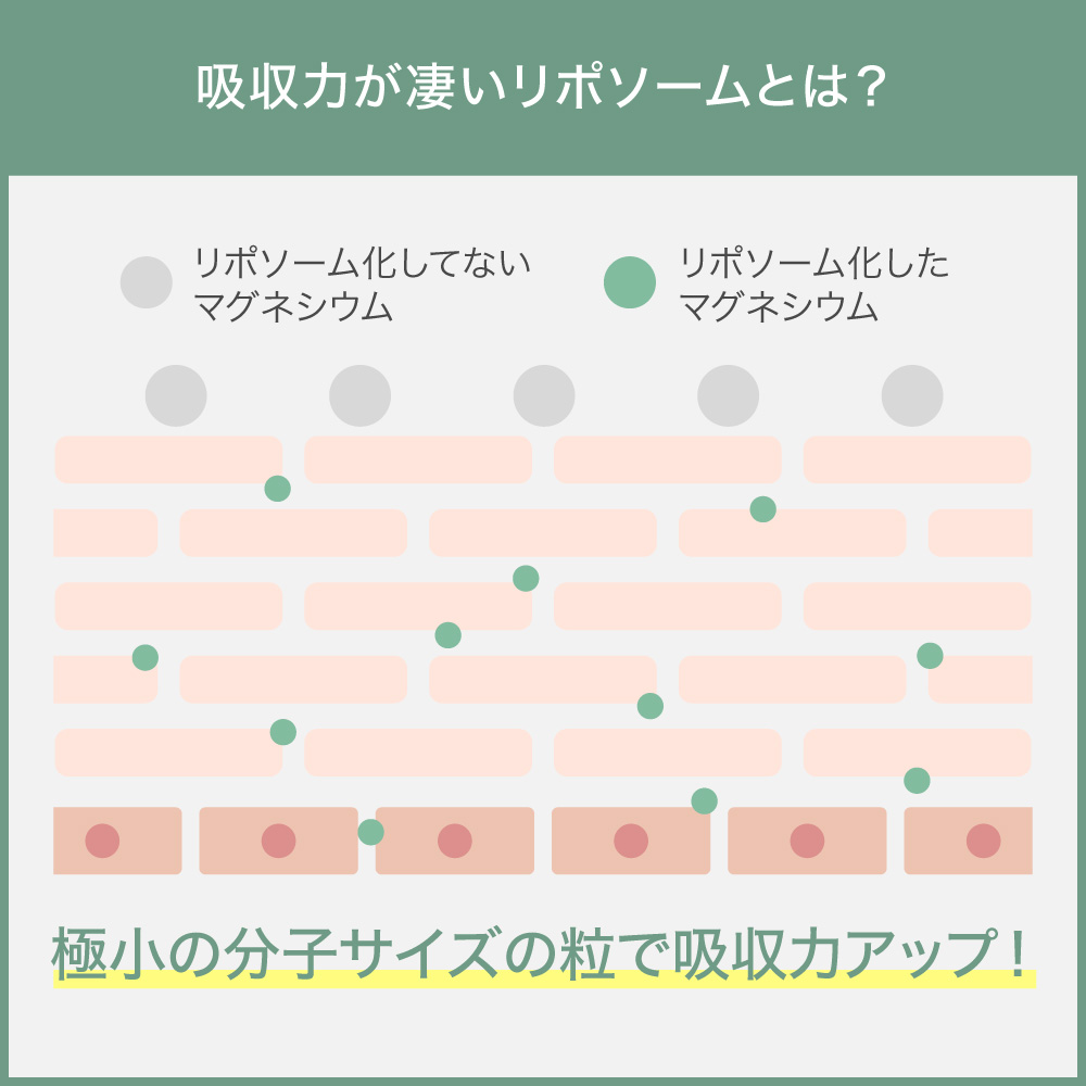 オーガニックサイエンス - マグクリーム｜Yahoo!ショッピング